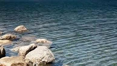 夏季新疆伊犁赛里木湖A2视频的预览图